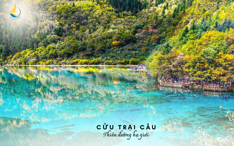 THANH DO - CUU TRAI CAU