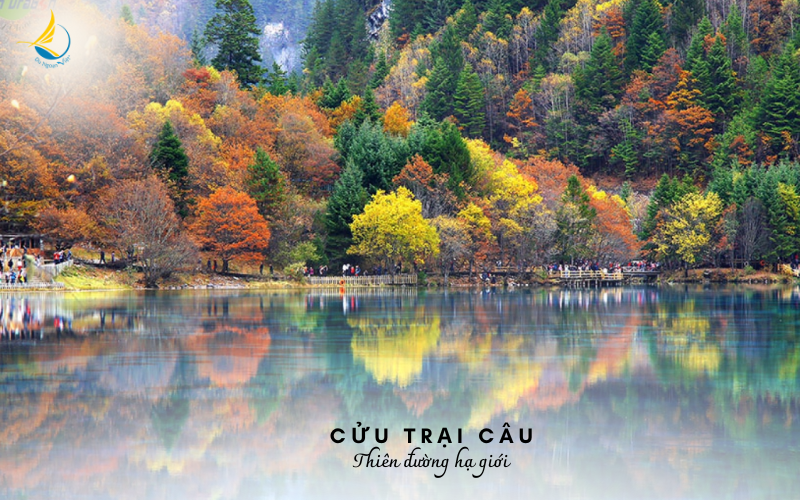 THANH DO - CUU TRAI CAU