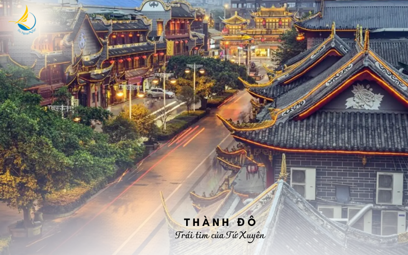 THANH DO - CUU TRAI CAU